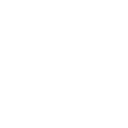 Solution Icons Get Fit to Perform 250 Get Fit to Perform