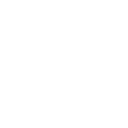 Video Button