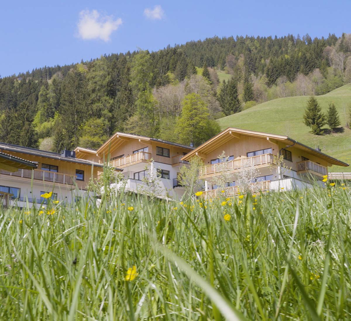 Mount Med Resort Exterior Chalets Mount Med Resort Exterior Chalets