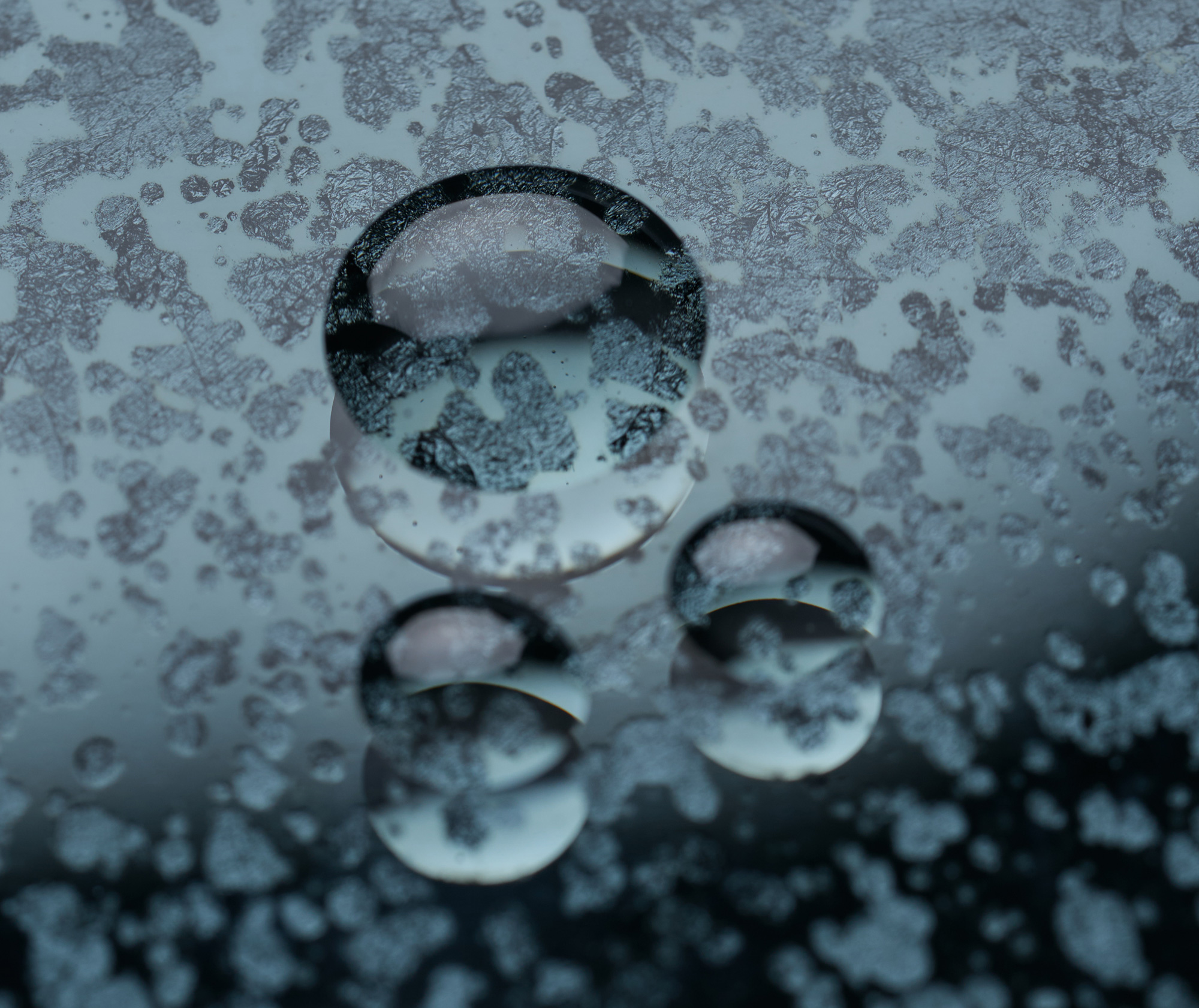 Mount Med Resort Diagnostics