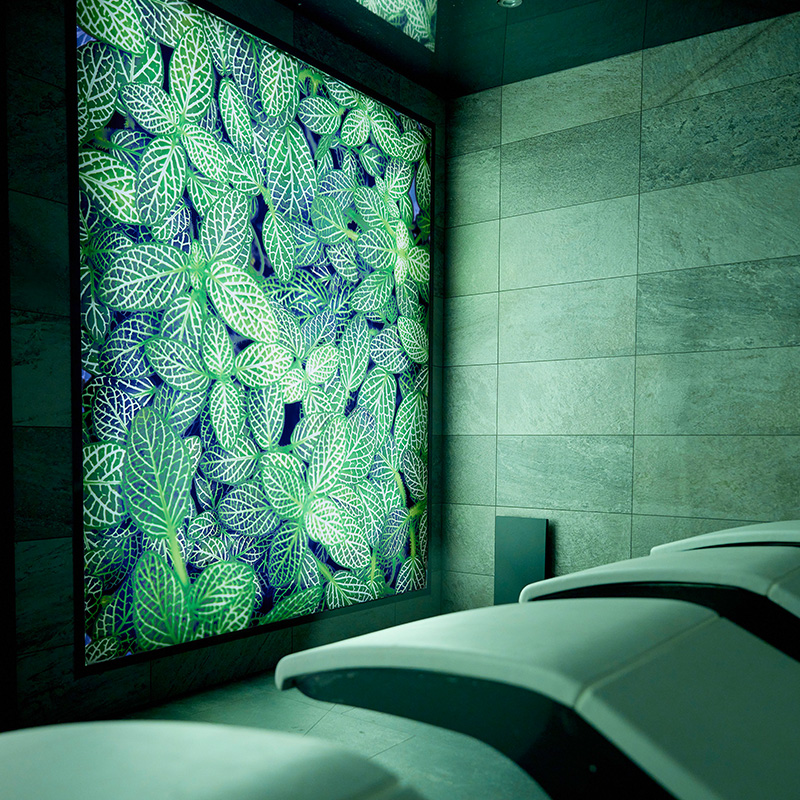 Prevention & Vitality ab 7 Nächte